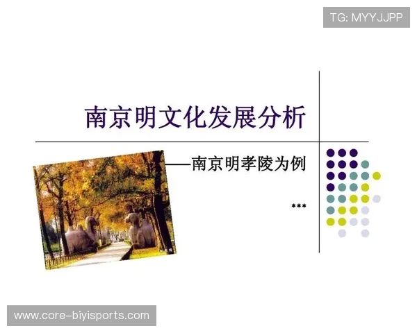 塔尔比桑德兰周边文化与经济发展全面分析